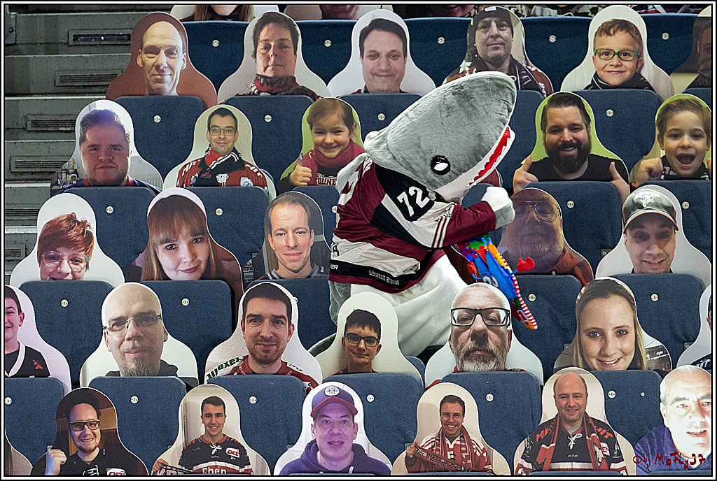 PENNY DEL;  Koelner Haie - Fischtown Pinguins Bremerhaven; Koeln, 12.02.2021